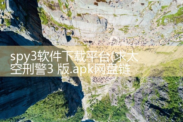 spy3软件下载平台