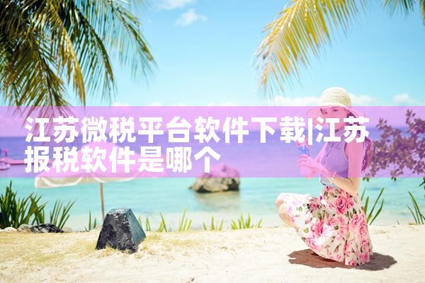 江苏微税平台软件下载