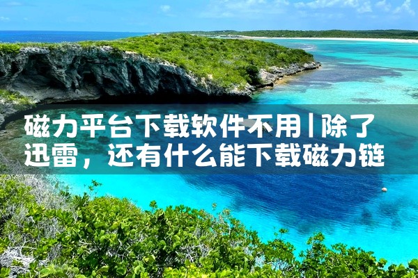 磁力平台下载软件不用