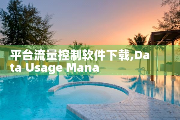 平台流量控制软件下载