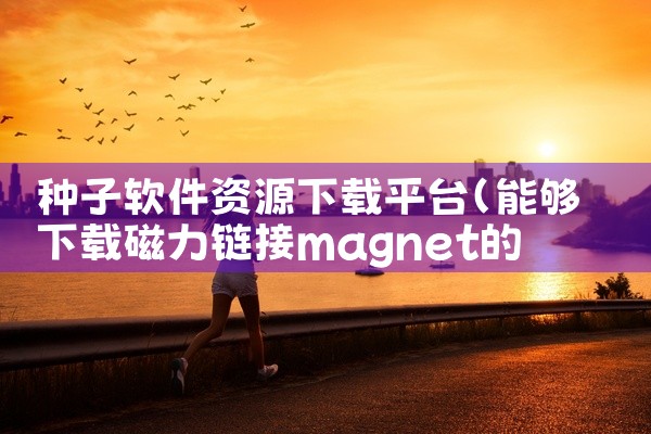 种子软件资源下载平台