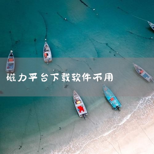 2. 比特冬Pro 磁力爬虫搜索：专门针对磁力链接设计的搜索软件，能在Google Play上架。 资源广泛：能搜索各种文件，包括但不限于学习资料、图书、音乐、视频等。 个人开发：由个人开发者精心打造,