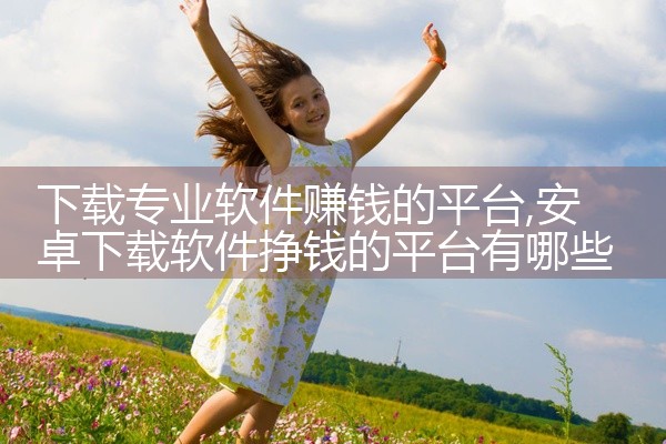 下载专业软件赚钱的平台