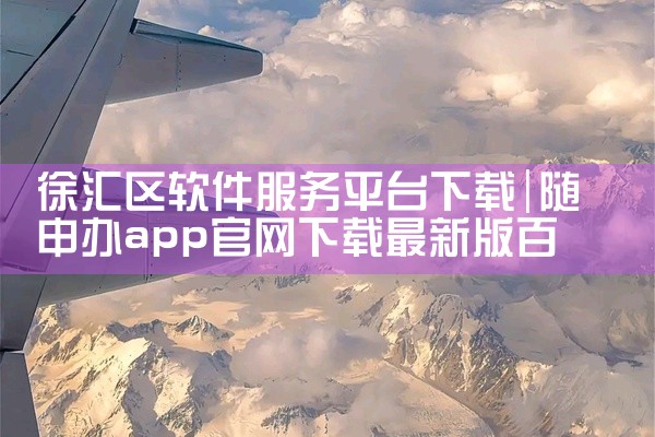 徐汇区软件服务平台下载