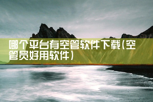 哪个平台有空管软件下载
