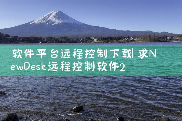软件平台远程控制下载
